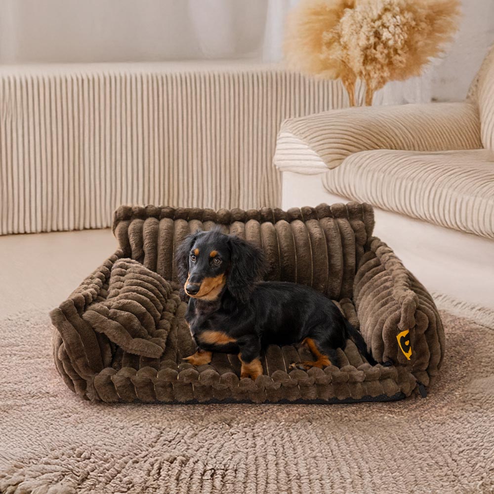 Soft orthopedic sofa dog bed