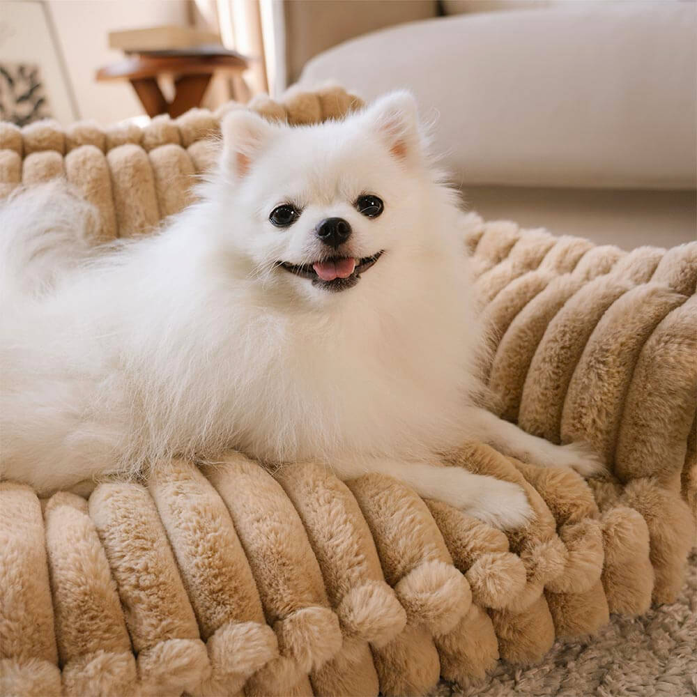 Soft orthopedic sofa dog bed