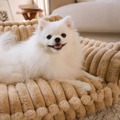 Soft orthopedic sofa dog bed