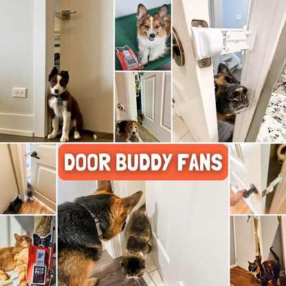 Ultimate Cat Door Prop